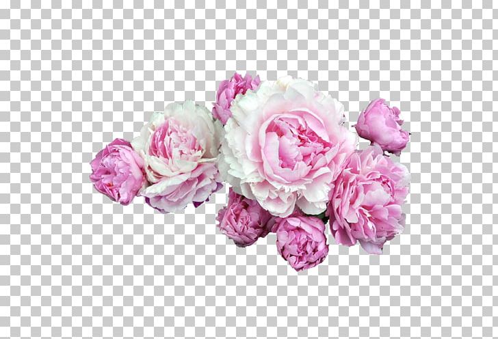 Pink Flowers Peony Rose PNG, Clipart, Artificial Flower, Avatan, Chinese Peony, Cut Flowers, Desktop Wallpaper Free PNG Download