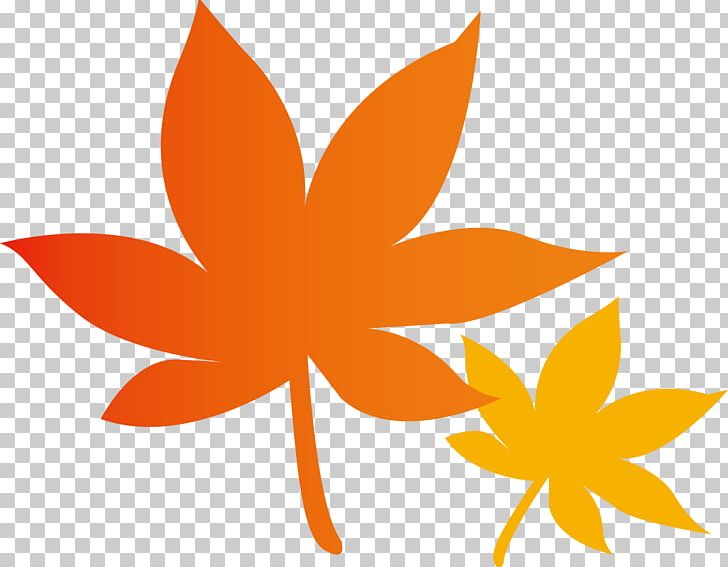 介護サービス事業者の種類 Konan Junior High School Maple Leaf Caregiver PNG, Clipart, Caregiver, Dolla, Evenement, Flower, Flowering Plant Free PNG Download