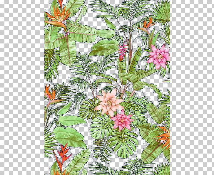 Pine Shrub Flowering Plant Leaf PNG, Clipart, Branch, Conifer, Decorative, Decorative Shading, Evergreen Free PNG Download