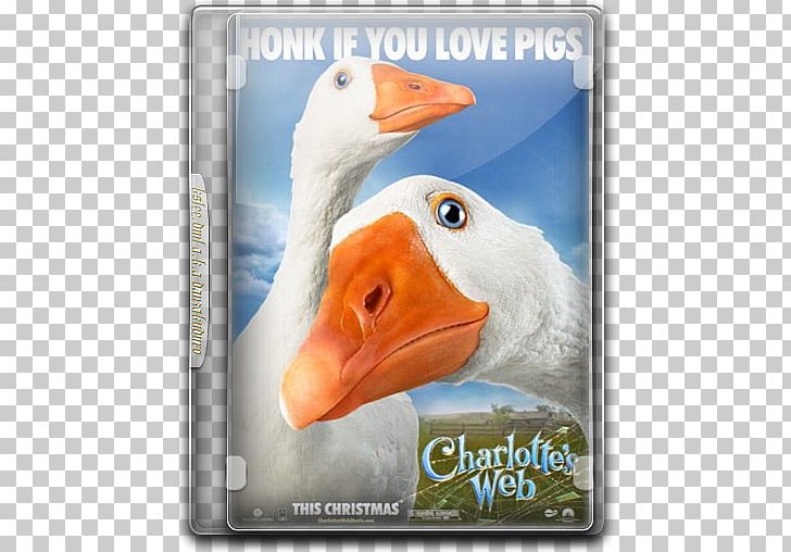 Charlotte's Web Charlotte A. Cavatica Film YouTube Actor PNG, Clipart,  Free PNG Download