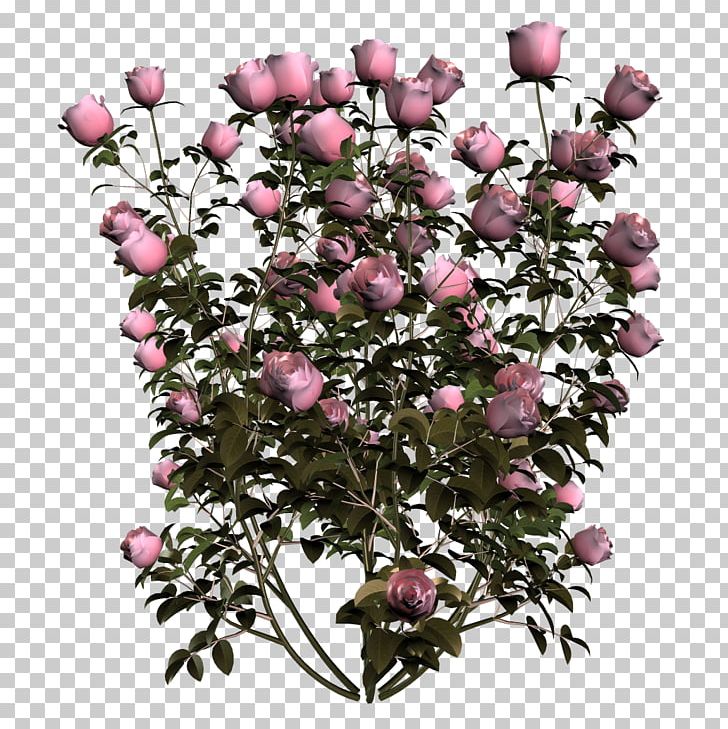 Flower PNG, Clipart, 3d Computer Graphics, Animals, Blossom, Branch, Color Free PNG Download