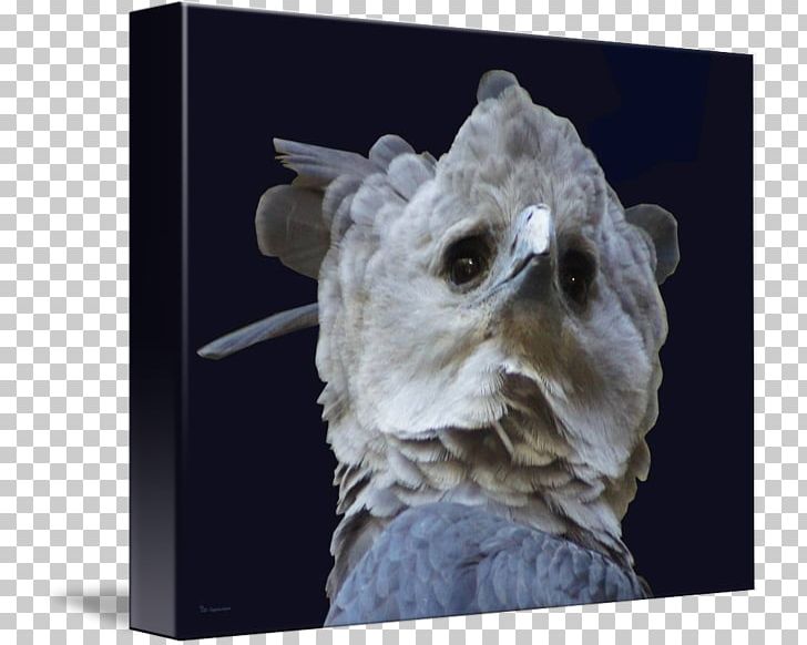 Sculpture Snout PNG, Clipart, Harpy Eagle, Others, Sculpture, Snout Free PNG Download