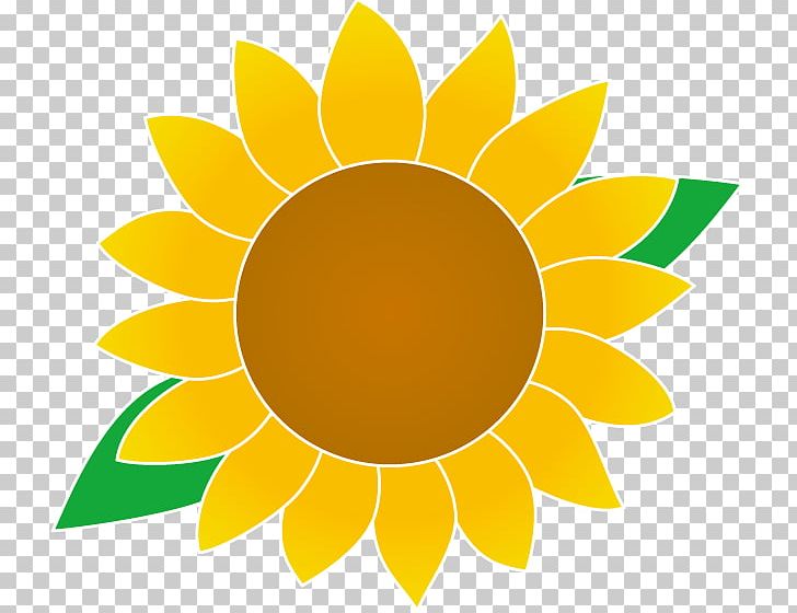 Common Sunflower PNG, Clipart, Circle, Common Sunflower, Daisy Family, Flower, Flower Illust Free PNG Download