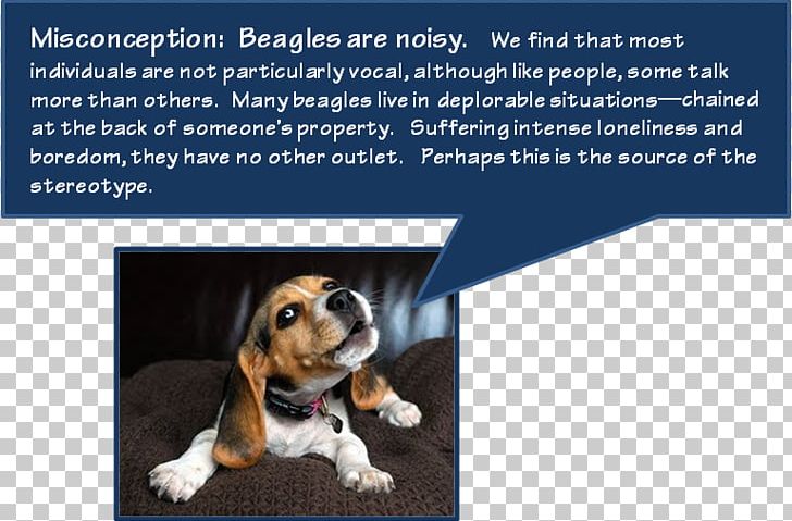 Beagle Dog Breed Puppy Basset Hound Dachshund PNG, Clipart, Advertising, Animals, Basset Hound, Beagle, Brand Free PNG Download