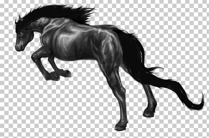 Mane Pony Foal Stallion Mustang PNG, Clipart, Colt, Digital Art, Drawing, Fictional Character, Foal Free PNG Download