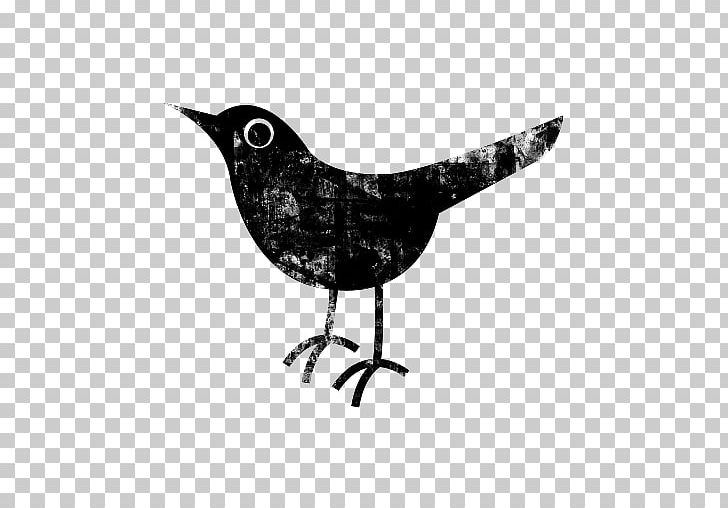 Computer Icons Social Media PNG, Clipart, Animal, Beak, Bird, Bird Icon, Black And White Free PNG Download