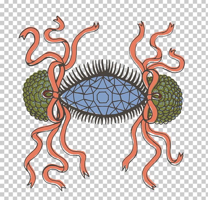 Decapoda PNG, Clipart, Decapoda, Invertebrate, Organism, Others, Real Money Free PNG Download