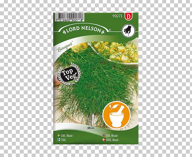 Dill Seed Chervil Leaf Tarragon PNG, Clipart, Bedding, Chervil, Chives, Dill, Doubleflowered Free PNG Download