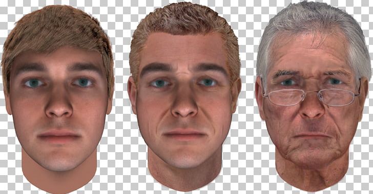 DNA Phenotyping Forensic Science Face Forensic Facial Reconstruction PNG, Clipart, Age, Age Progression, Cheek, Chin, Dna Free PNG Download