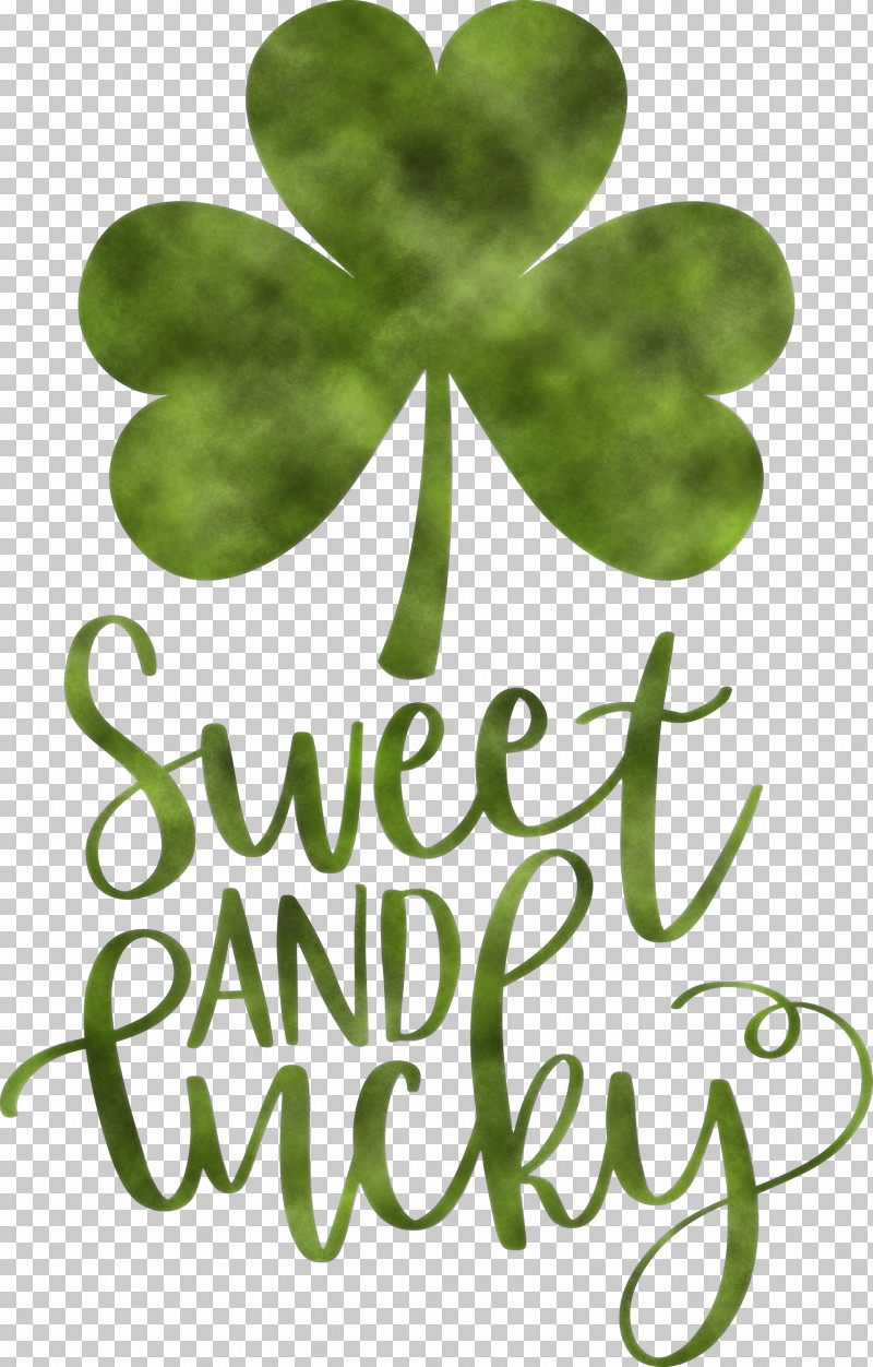 Sweet And Lucky St Patricks Day PNG, Clipart, Biology, Green, Leaf, Meter, Plants Free PNG Download