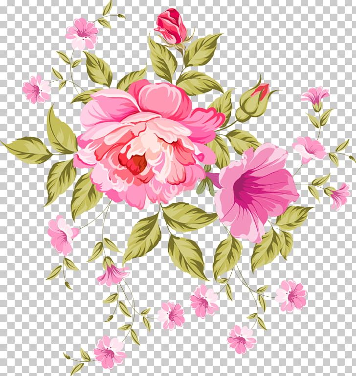 Carnation Flower Drawing Pink PNG, Clipart, Blossom, Botany, Branch, Carnation, Color Free PNG Download