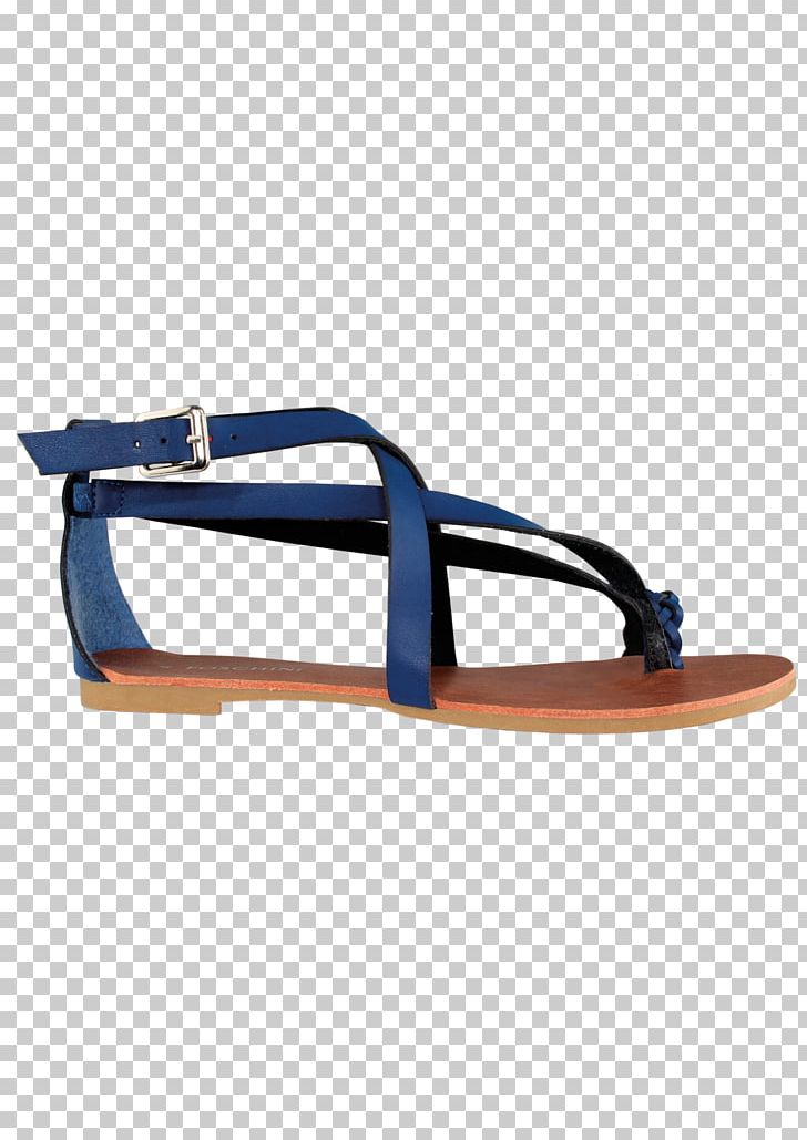 Flip-flops South Africa Sandal Fashion High-heeled Shoe PNG, Clipart, Babydoll, Ballet Flat, Birkenstock, Electric Blue, Fashion Free PNG Download