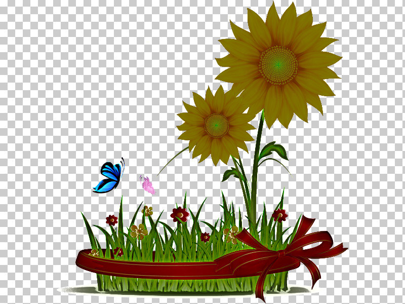 Daisy PNG, Clipart, Daisy, Flower, Flowerpot, Gerbera, Grass Free PNG Download