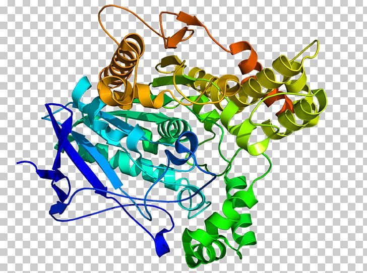 Acetylcholinesterase Enzyme Organophosphate PNG, Clipart, Acetylcholine, Acetylcholinesterase Inhibitor, Choline, Cholinesterase, Enzyme Commission Number Free PNG Download