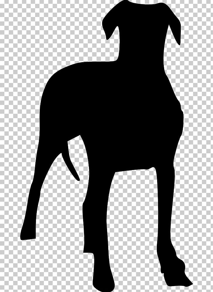 Dog Breed Puppy PNG, Clipart, Animals, Black, Black And White, Carnivoran, Christmas Free PNG Download