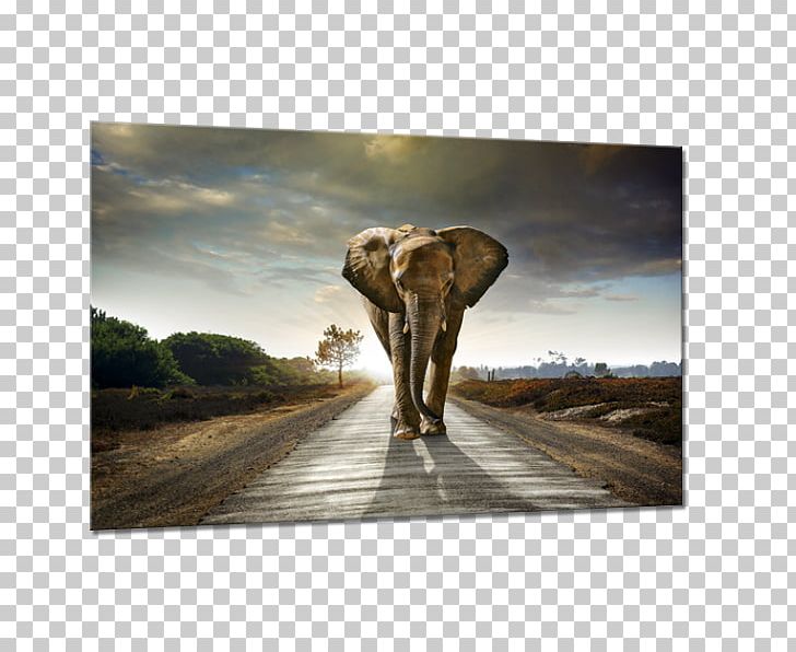 Elephantidae African Elephant Painting Canvas PNG, Clipart, African Elephant, Animal, Art, Beslistnl, Big Five Game Free PNG Download