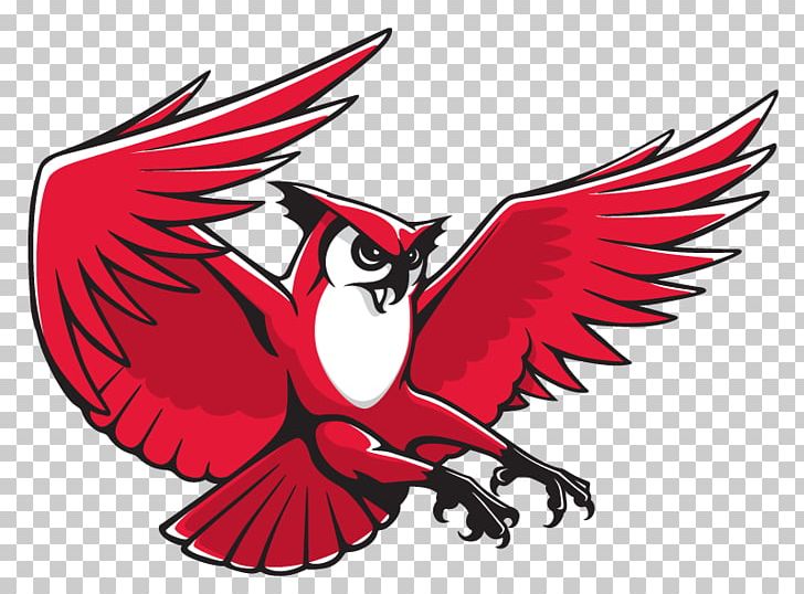 Keene State College Keene State Owls Men's Basketball Kennesaw State University Logo PNG, Clipart,  Free PNG Download