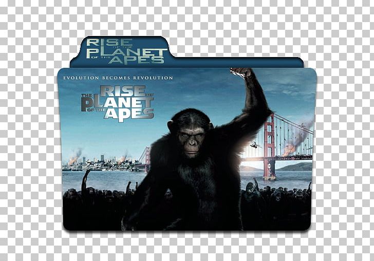 YouTube Rise Of The Planet Of The Apes Film Dawn Of The Planet Of The Apes PNG, Clipart, Andy Serkis, Dawn Of The Planet Of The Apes, Film, Freida Pinto, Great Ape Free PNG Download