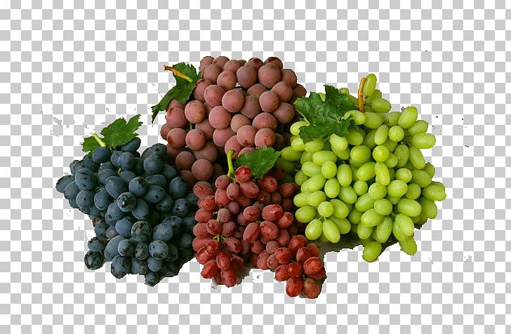 Grape Sultana Cabernet Sauvignon Seedless Fruit Wine PNG, Clipart, Cabernet Sauvignon, Common Grape Vine, Cultivar, Flame Seedless, Food Free PNG Download