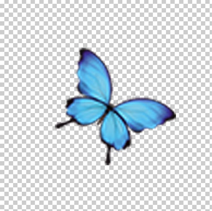 Monarch Butterfly Blue Insect PNG, Clipart, Blue, Blue Abstract, Blue Abstracts, Blue Background, Blue Eyes Free PNG Download