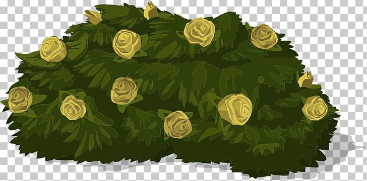 Shrub Rose Garden PNG, Clipart, Bushes, Clip Art, Drawing, Flower, Food Free PNG Download