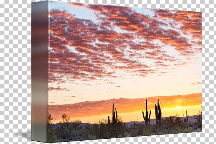 Sonoran Desert Sunrise Painting PNG, Clipart, Acrylic Paint, Art, Business Day, Dawn, December 2 Free PNG Download