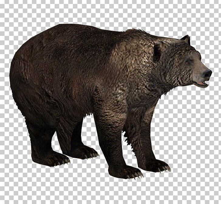 Zoo Tycoon 2 Brown Bear American Black Bear PNG, Clipart, American Black Bear, Animal, Animals, Bear, Bison Free PNG Download