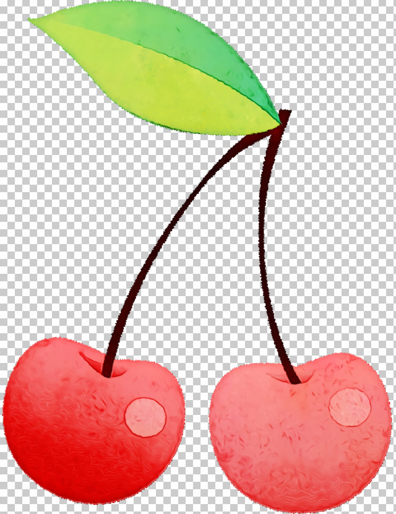 Cherry Fruit 2019 PNG, Clipart, 2019, August, Cherry, Fruit, June Free PNG Download