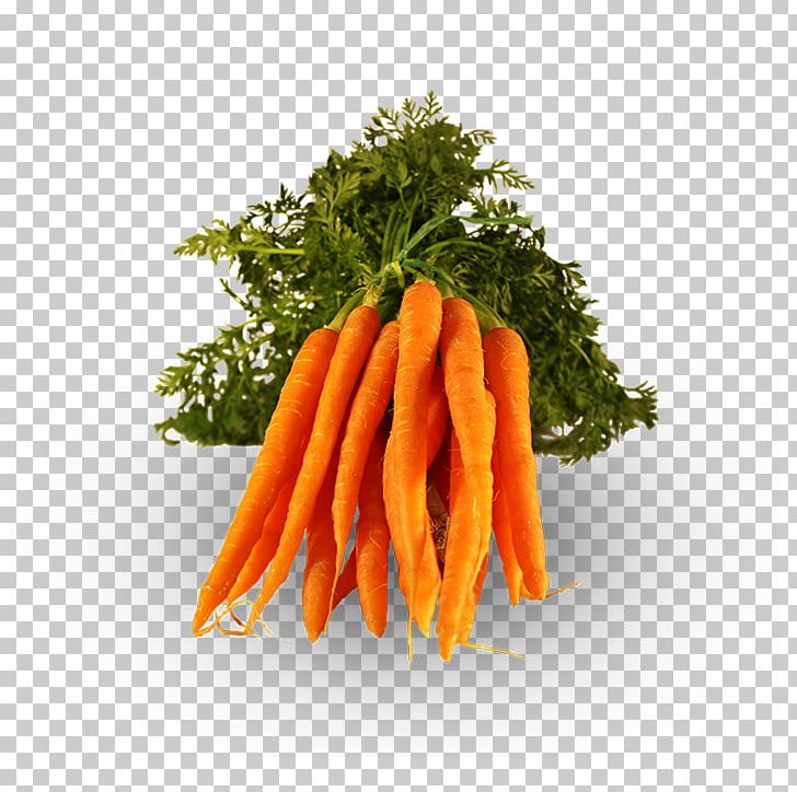Baby Carrot Vegetarian Cuisine Vegetable Onion Food PNG, Clipart, Baby Carrot, Bell Pepper, Brassica Oleracea, Broccoli, Carrot Free PNG Download