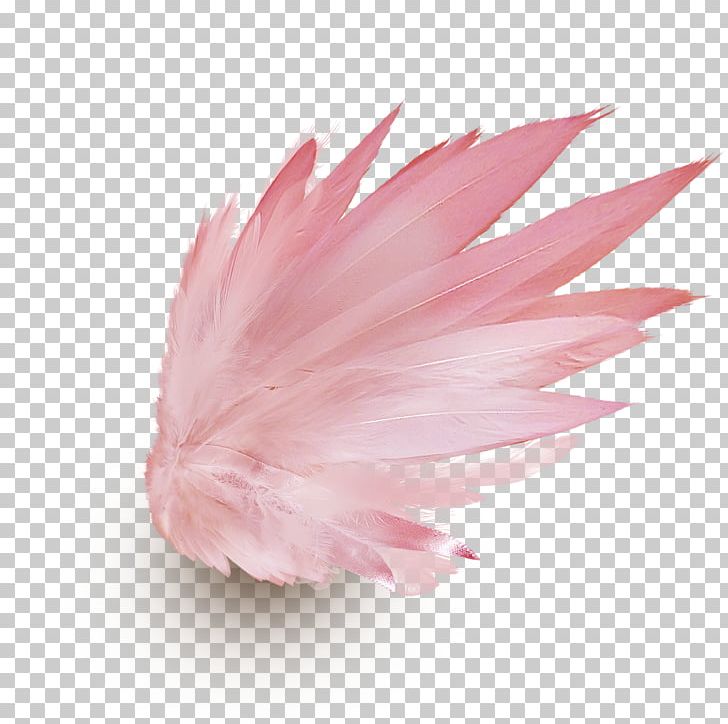 Drawing PNG, Clipart, Angel Wing, Animals, Drawing, Feather, Feather Pen Free PNG Download