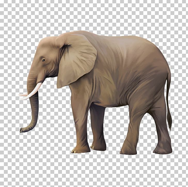 Animal Illustrator Illustration PNG, Clipart, African Elephant, Animals, Baby Elephant, Elephant, Encapsulated Postscript Free PNG Download