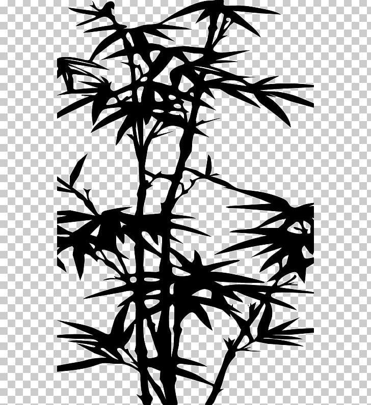 Bamboo Silhouette Drawing PNG, Clipart, Artwork, Bamboo, Black And White, Branch, Drawing Free PNG Download