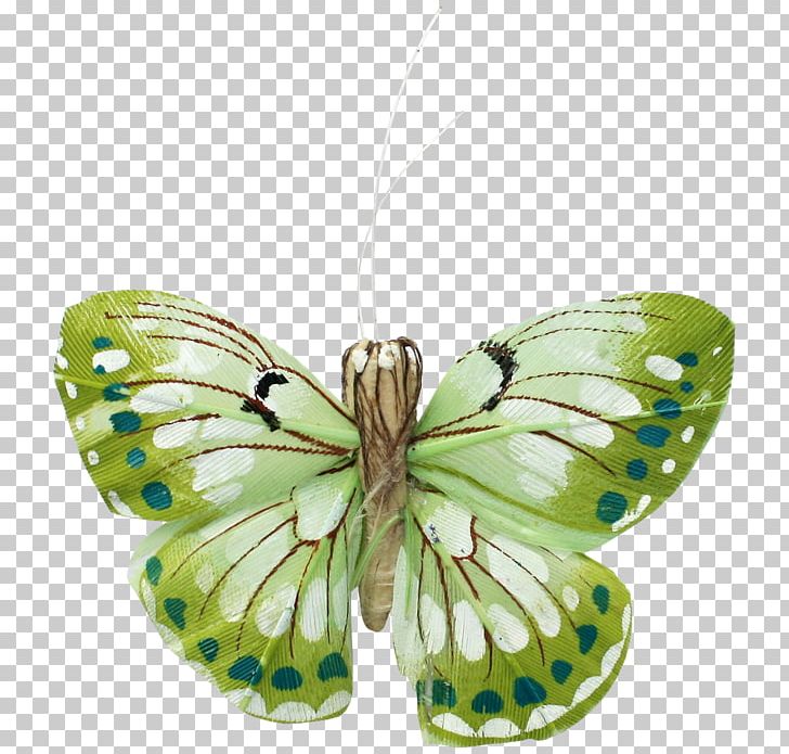 Nymphalidae Butterfly Pieridae Moth Green PNG, Clipart, Arthropod, Black, Brush Footed Butterfly, Butterflies And Moths, Butterfly Free PNG Download