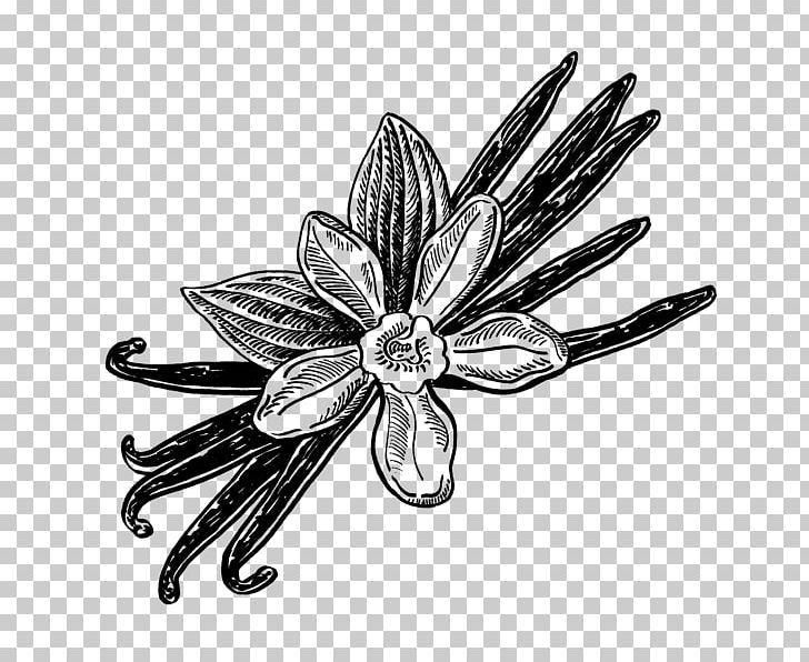 Flower Body Jewellery White PNG, Clipart, Art Black, Art Black And White, Black And White, Body Jewellery, Body Jewelry Free PNG Download