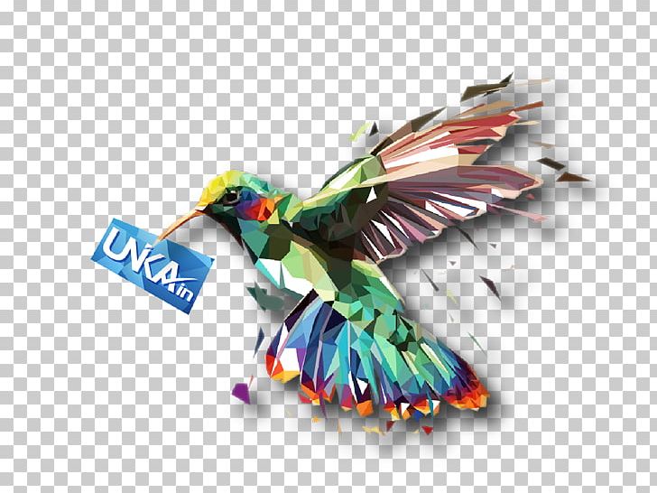 Graphic Designer Logo PNG, Clipart, Art, Beak, Bird, Business, Company Free PNG Download