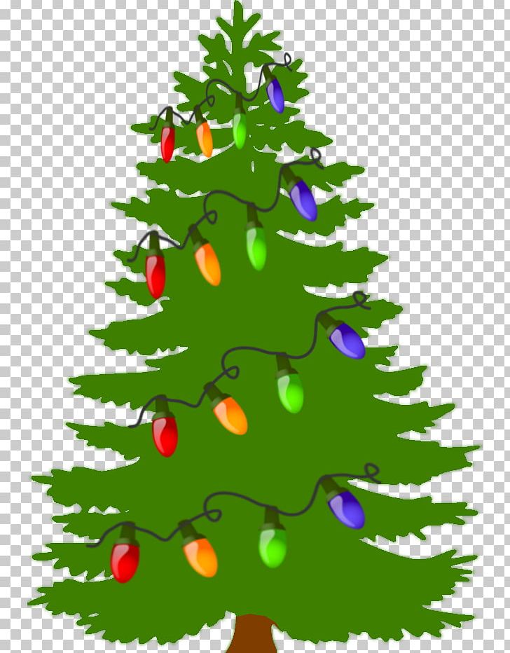 Pine Tree Fir Evergreen PNG, Clipart, Black Pine, Branch, Christmas, Christmas Decoration, Christmas Ornament Free PNG Download