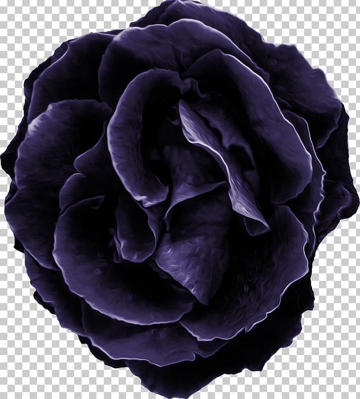 Purple Flower Violet PNG, Clipart, Art, Blue Rose, Centifolia Roses, Computer Icons, Cut Flowers Free PNG Download