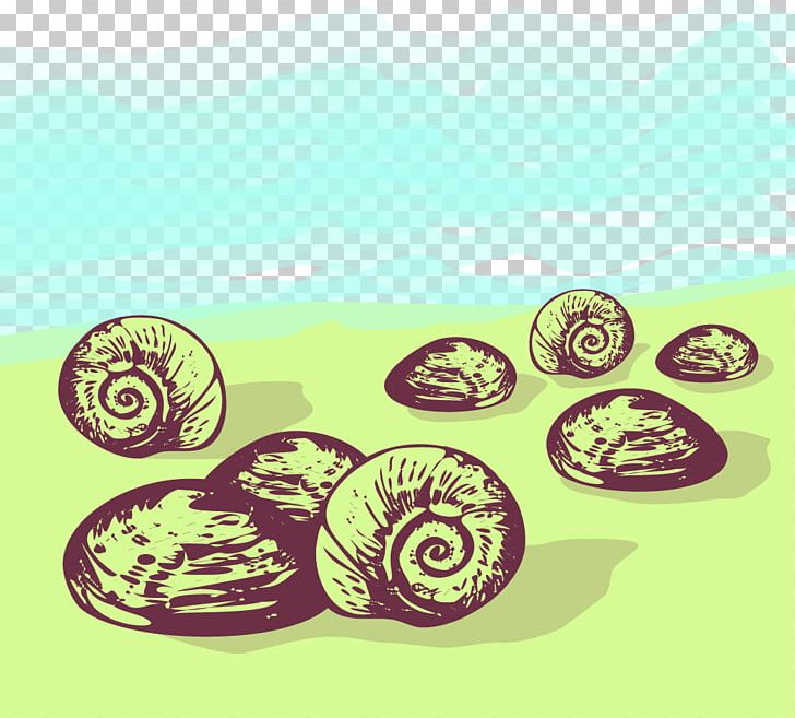 Sea Snail Euclidean PNG, Clipart, Blue, Cartoon Conch, Circle, Conch, Conch Blowing Free PNG Download