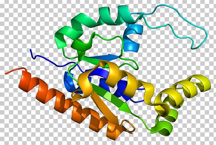 TATA-binding Protein TAF9 Transcription Factor II D PNG, Clipart, Acetyltransferase, Area, Binding Protein, Cyp2c19, Gene Expression Free PNG Download