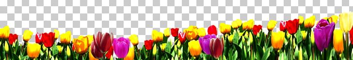 Tulip Nosegay Flower Bouquet PNG, Clipart, Bouquet, Computer Wallpaper, Download, Encapsulated Postscript, Euclidean Vector Free PNG Download