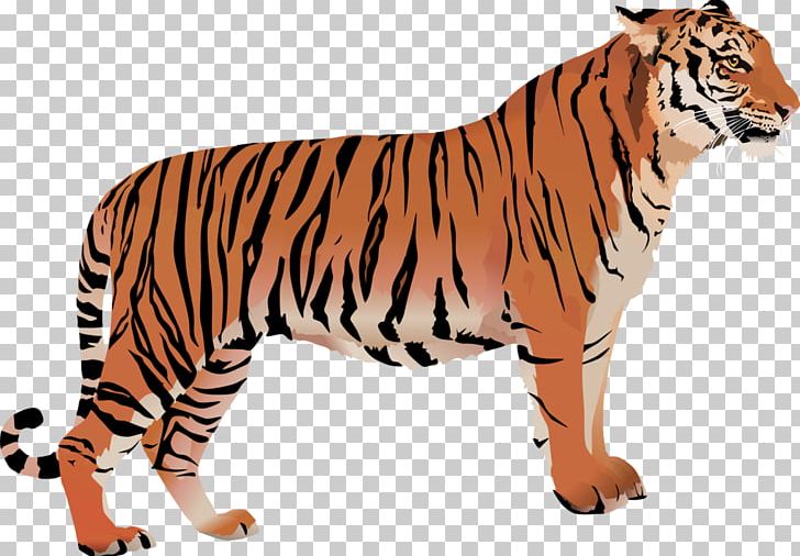 Bengal Cat Bengal Tiger White Tiger PNG, Clipart, Animal, Animal Figure, Animals, Bengal, Bengal Cat Free PNG Download