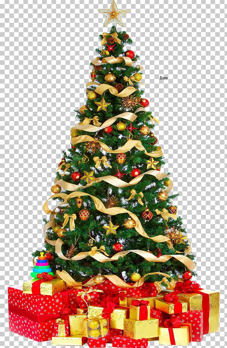 Christmas Tree Christmas Lights PNG, Clipart, Artificial Christmas Tree, Christmas, Christmas Decoration, Christmas Lights, Christmas Ornament Free PNG Download