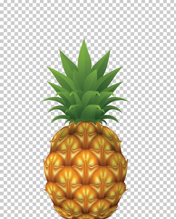 Pineapple Drawing Stock Photography Illustration PNG, Clipart, Bromeliaceae, Cartoon Pineapple, Cdr, Encapsulated Postscript, Food Free PNG Download