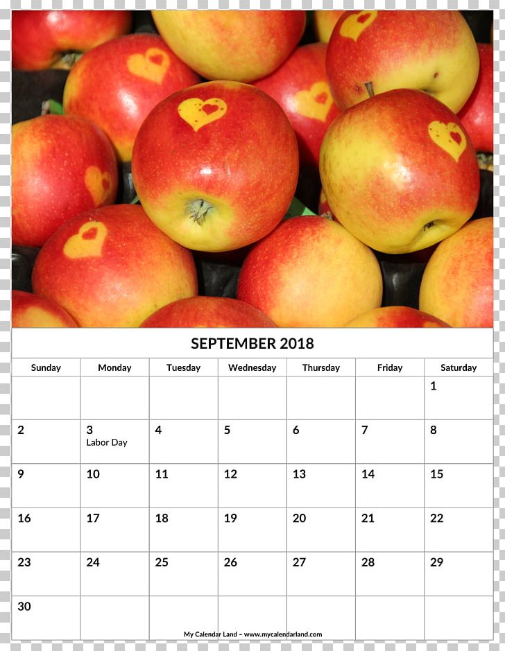 Apple Cider Vinegar Caramel Apple Fruit PNG, Clipart, Apple, Apple Cider, Apple Cider Vinegar, Calendar, Caramel Apple Free PNG Download