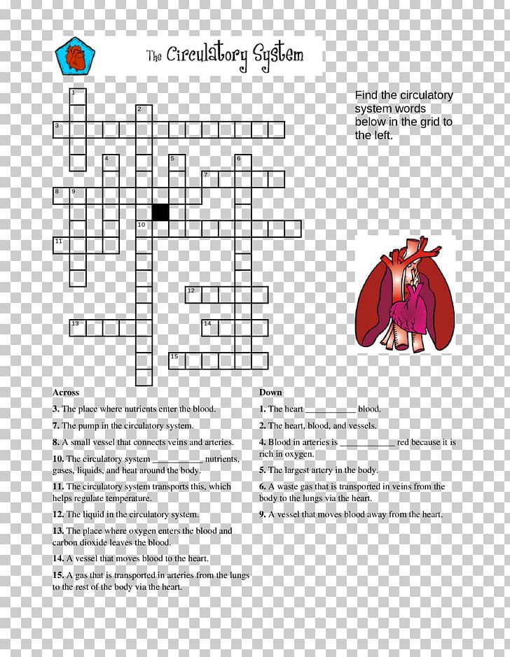 Circulatory System Crossword Human Body Puzzle Human Skeleton PNG, Clipart, Angle, Area, Biological System, Circulatory System, Crossword Free PNG Download