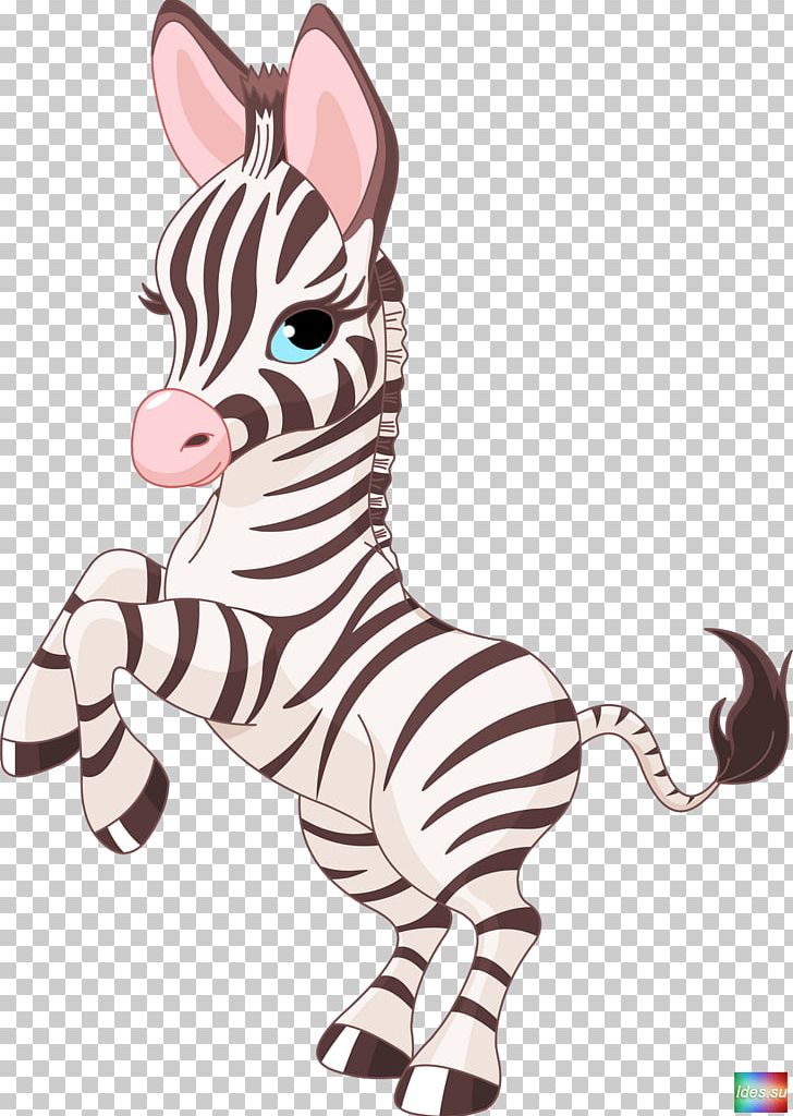 Foal Horse Zebra PNG, Clipart, Animal Figure, Animals, Cuteness, Drawing, Fauna Free PNG Download