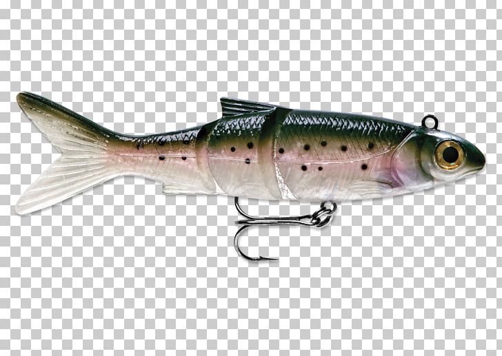 Plug Sardine Rainbow Trout Oily Fish PNG, Clipart, Bait, Bony Fish, Fish, Fishing Bait, Fishing Lure Free PNG Download