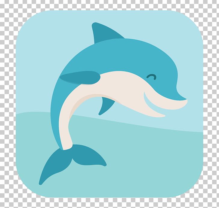 Porpoise Common Bottlenose Dolphin Short-beaked Common Dolphin Tucuxi PNG, Clipart, Animal, Animals, Aqua, Bottlenose Dolphin, Cetacea Free PNG Download