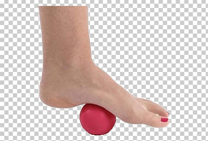 Pro-Roller Massage Essentials Exercise Balls Toe Hand PNG, Clipart, Ankle, Arm, Athletic Taping, Ball, Bodywork Free PNG Download