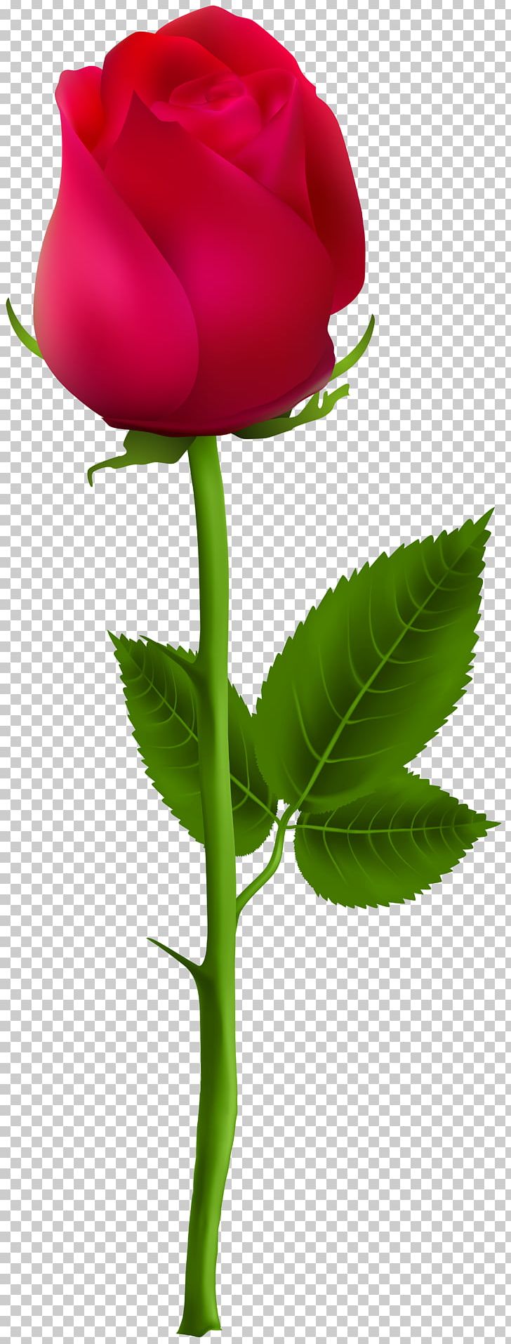 Rose Flower Drawing PNG, Clipart, Art, Black Rose, Bud, Cut Flowers, Desktop Wallpaper Free PNG Download